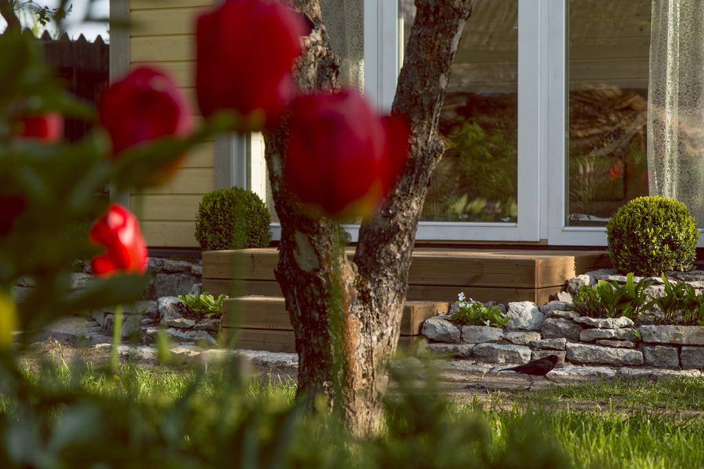 Kaevu Holiday House Pärnu Habitación foto